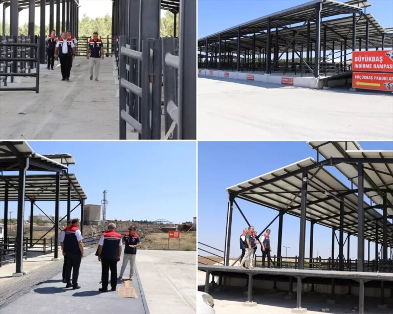 edirne-tarim-muduru-havsa-pazarinda-inceleme-yapti-Wp1rMApe.jpg